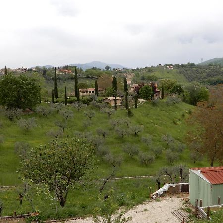 Il Gelsomino Bed & Breakfast Frasso Sabino Bagian luar foto