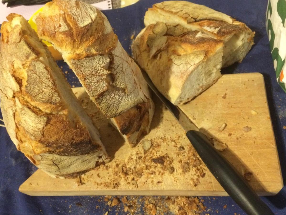 Il Gelsomino Bed & Breakfast Frasso Sabino Bagian luar foto