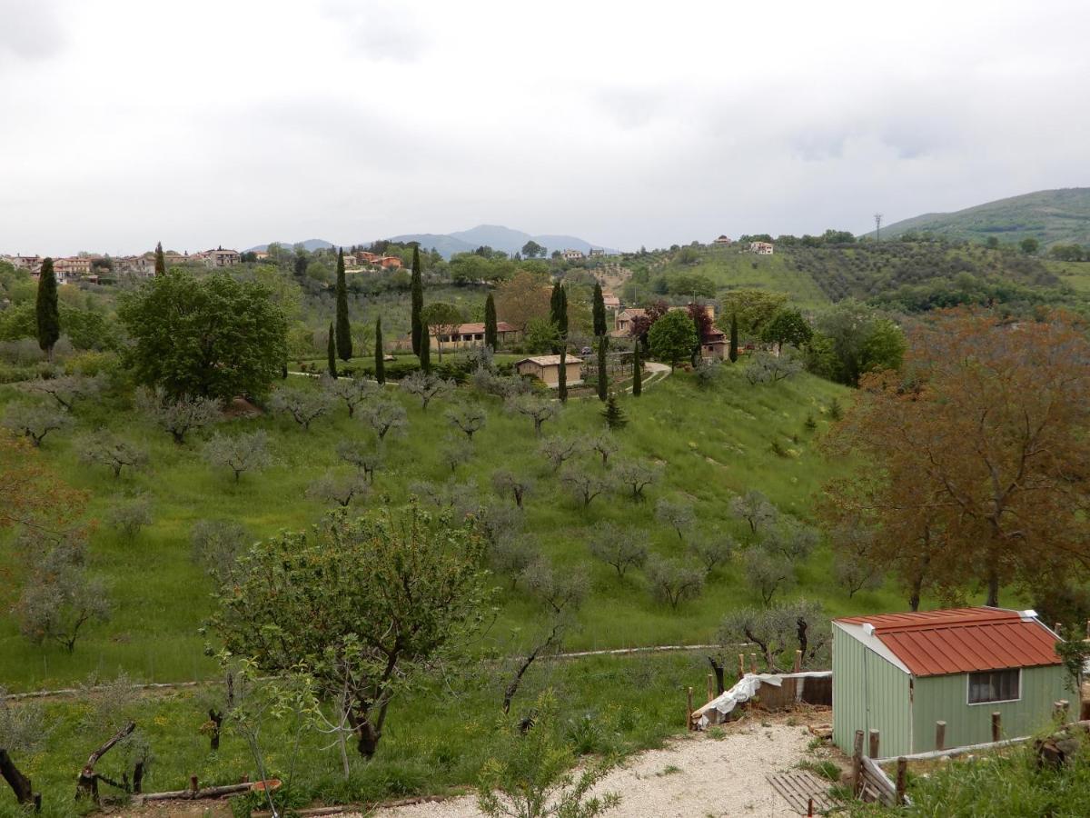 Il Gelsomino Bed & Breakfast Frasso Sabino Bagian luar foto