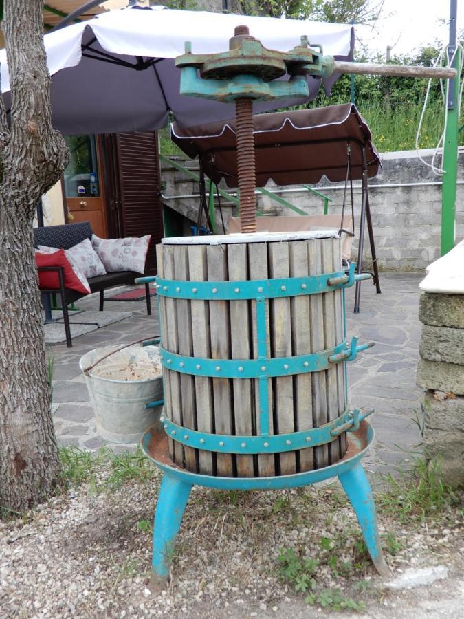 Il Gelsomino Bed & Breakfast Frasso Sabino Bagian luar foto